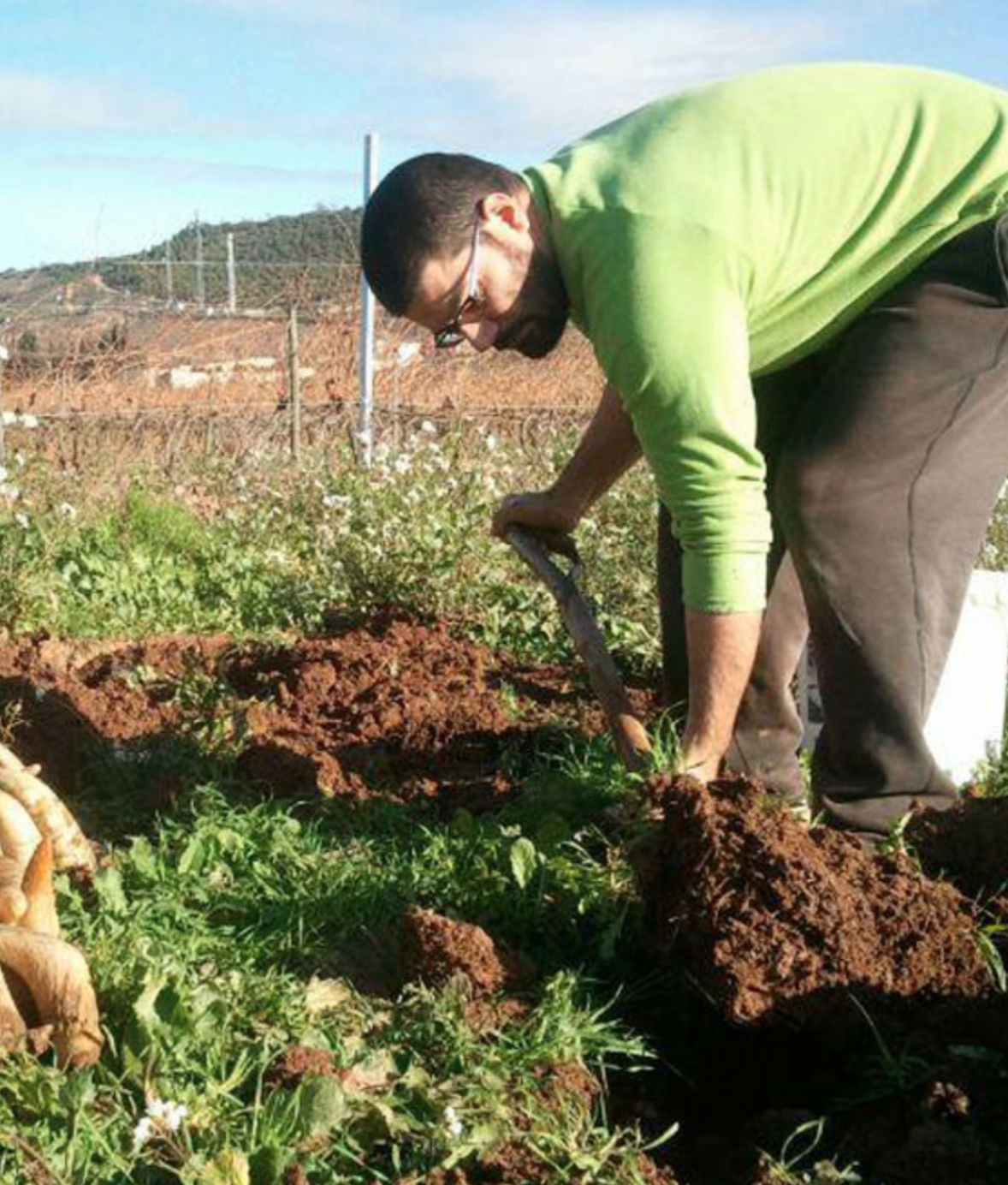 the-wine-love-rioja-espagne-symbiose-vins-importation-privee