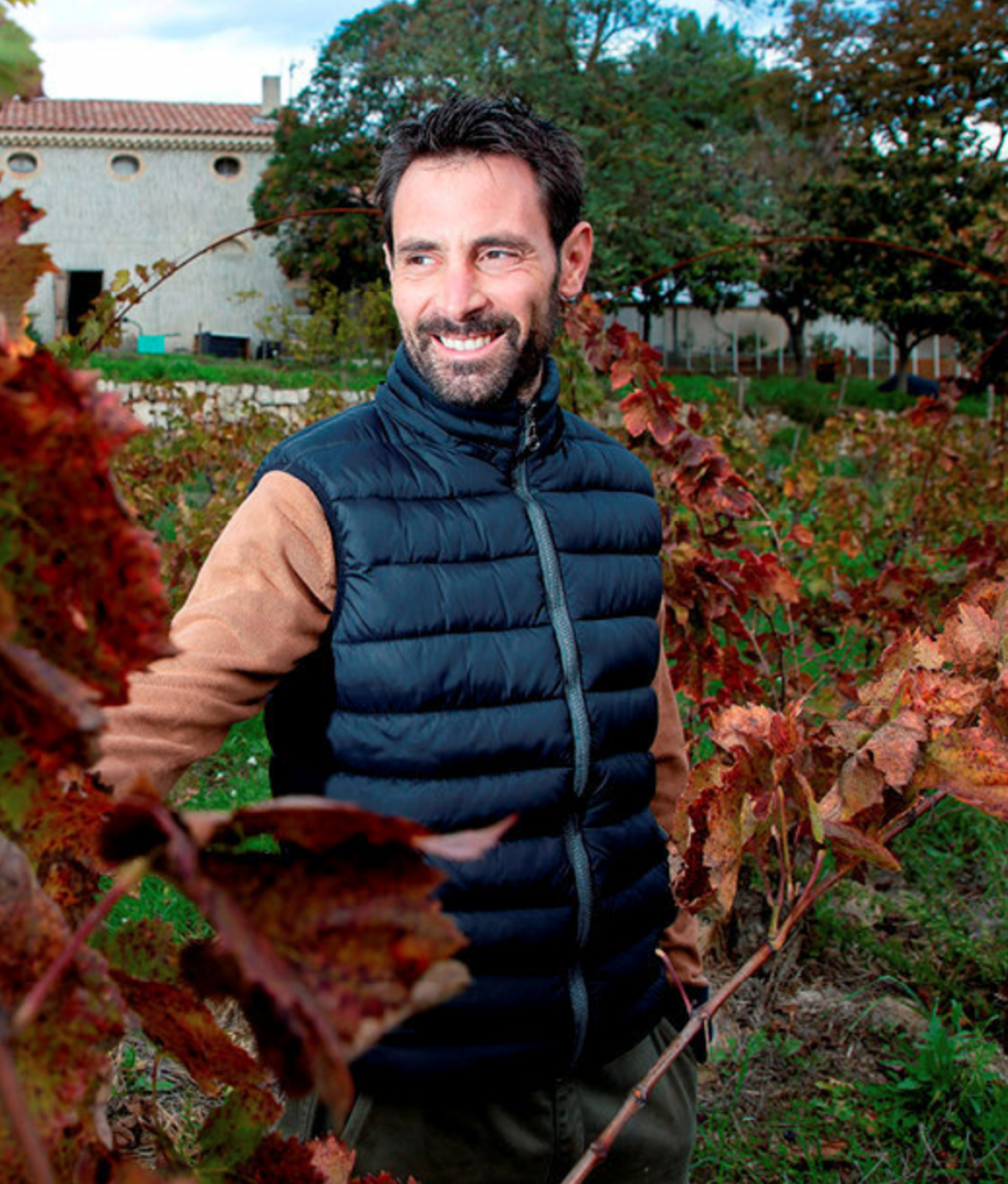 domaine-castell-reynoard-bandol-provence-france-symbiose-vins-importation-privee