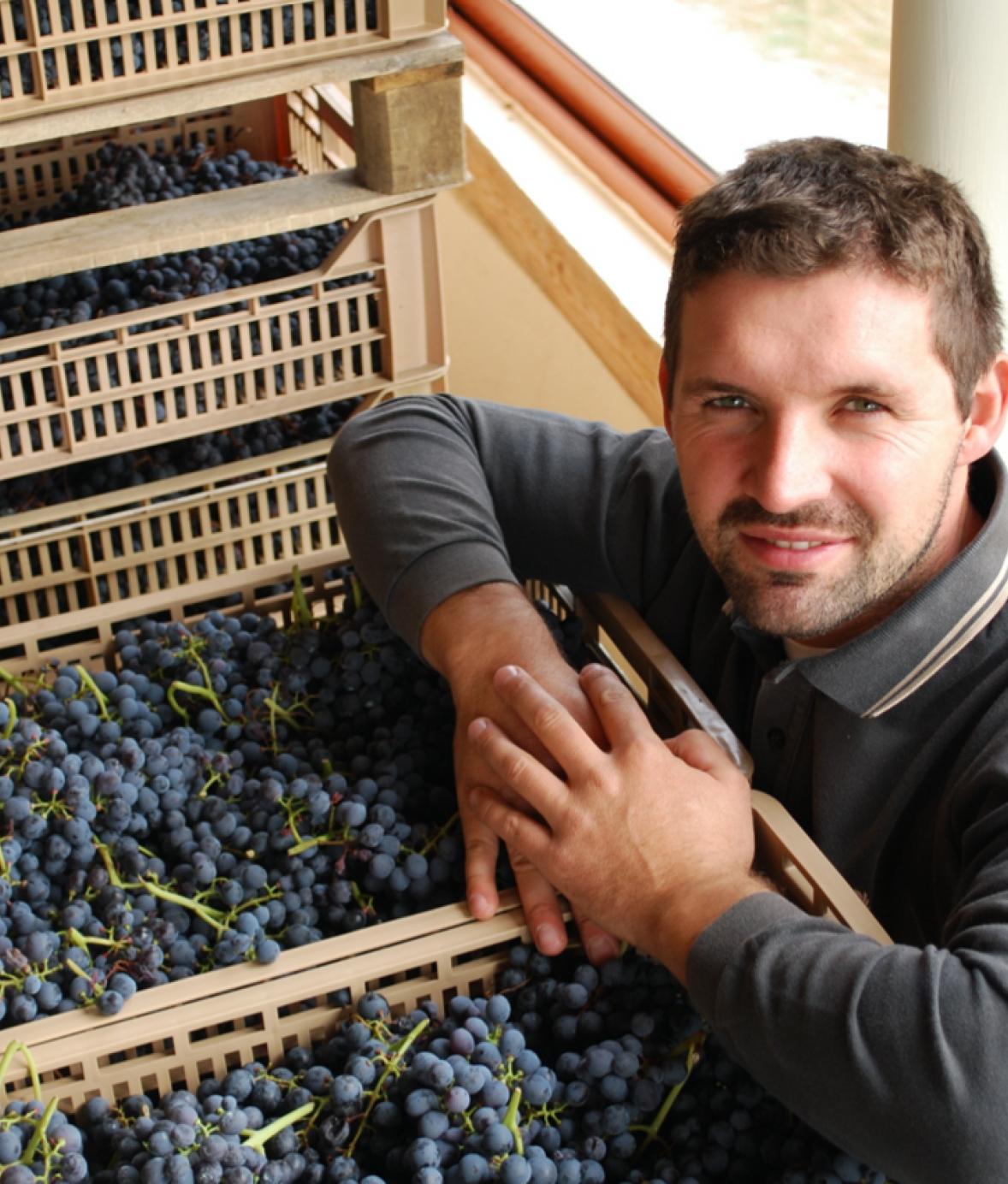 l'arco-vini-luca-fedrigo-venetie-italie-symbiose-vins-importation-privée