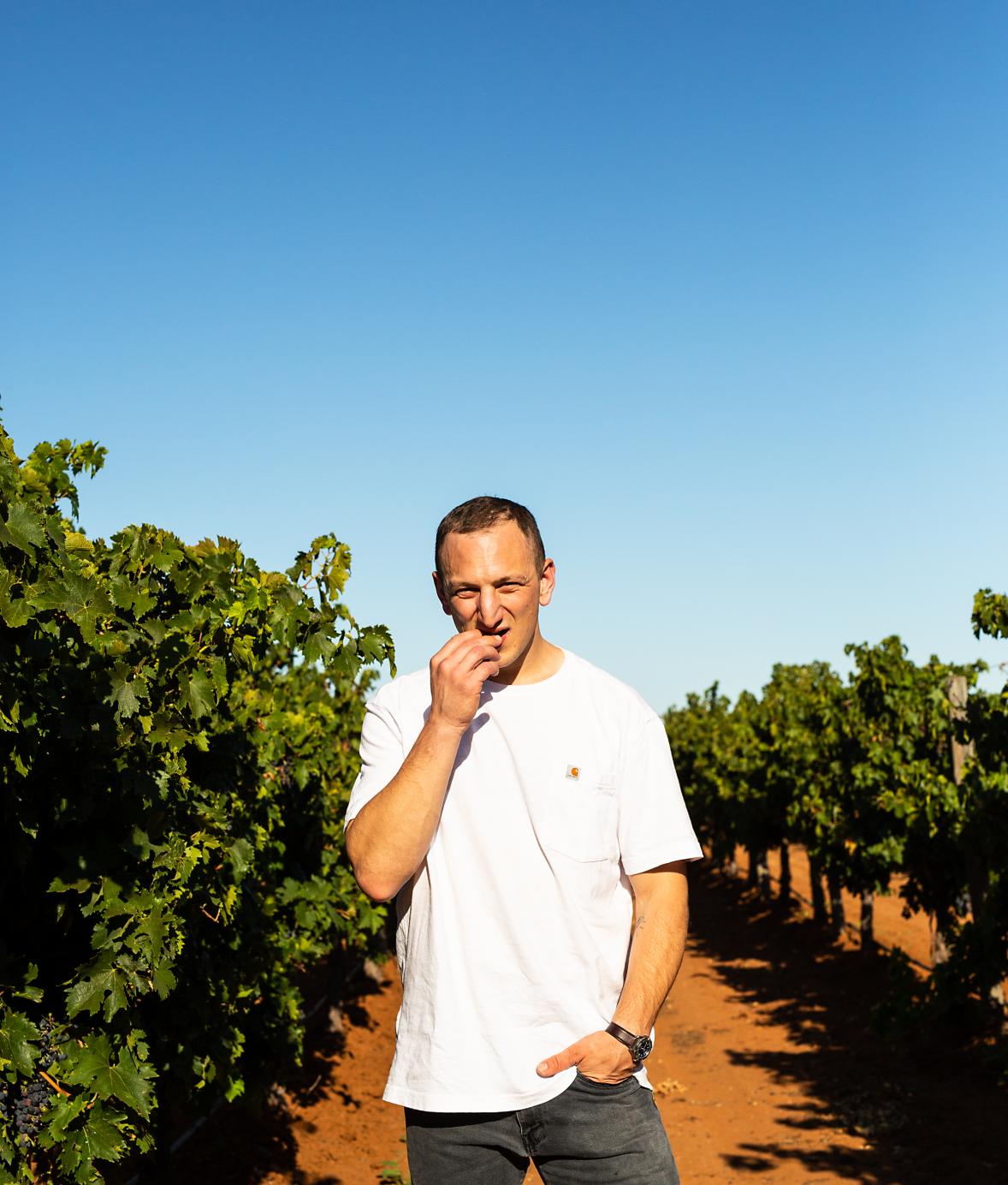 delinquente-wine-company-australie-riverland-symbiose-vins-importation-privée-saq