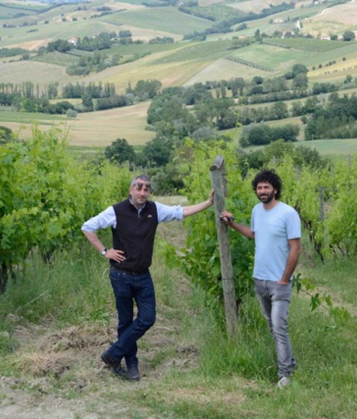 col-di-corte-verdicchio-dei-castelli-di-jesi-marches-italie-symibose-vins-importation-privee
