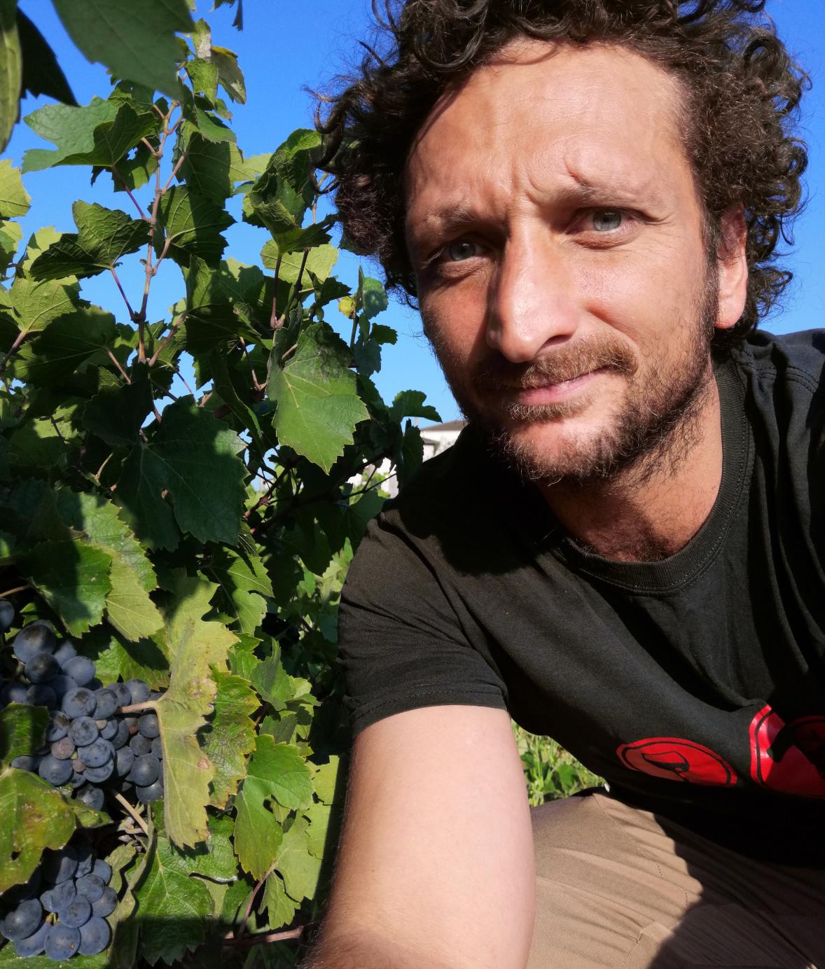 domaine-de-buis-rond-morgon-beaujolais-france-symbiose-vins-quentin-harel-saq